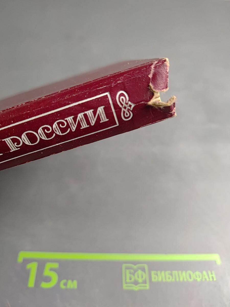 Иллюстрированная История России до Петра Великого