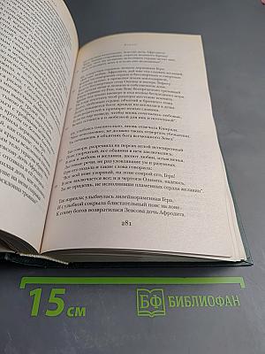 Илиада. Одиссея