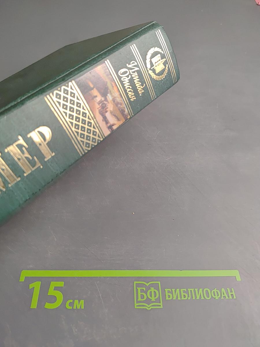 Илиада. Одиссея