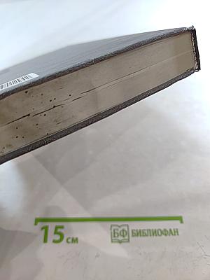 Пиранья. Война олигархов