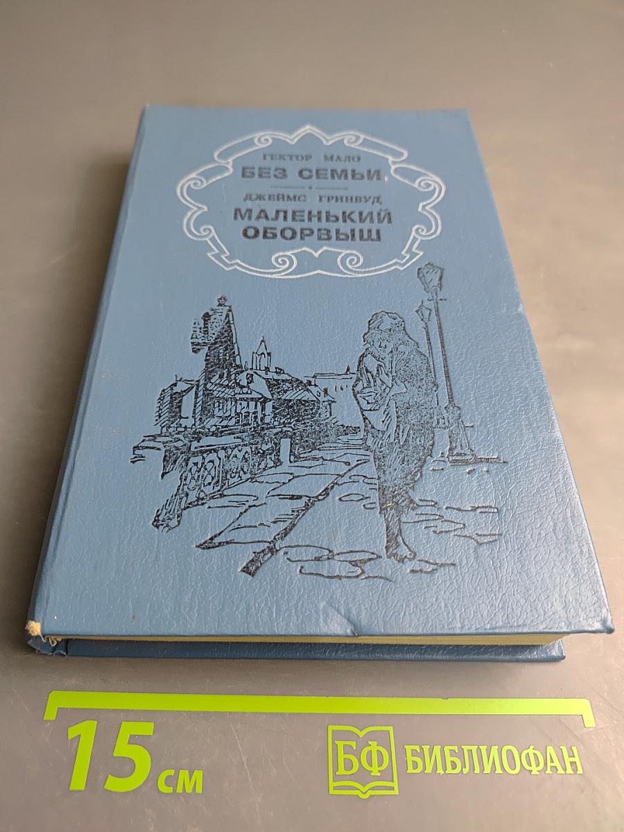 Без семьи. Маленький оборвыш