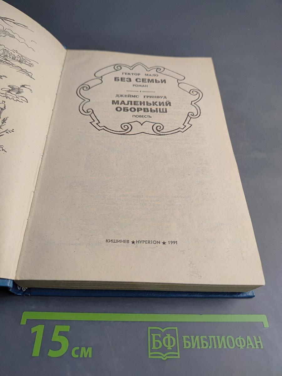 Без семьи. Маленький оборвыш