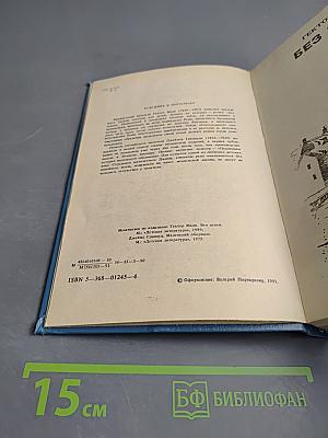 Без семьи. Маленький оборвыш