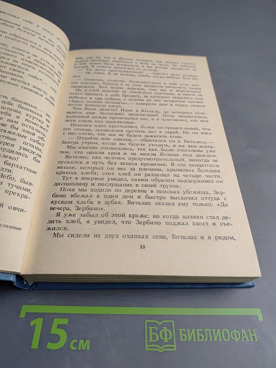 Без семьи. Маленький оборвыш