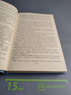 Без семьи. Маленький оборвыш