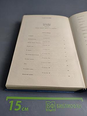 Без семьи. Маленький оборвыш