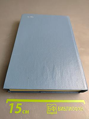 Без семьи. Маленький оборвыш