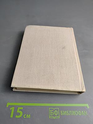 Бремя выбора