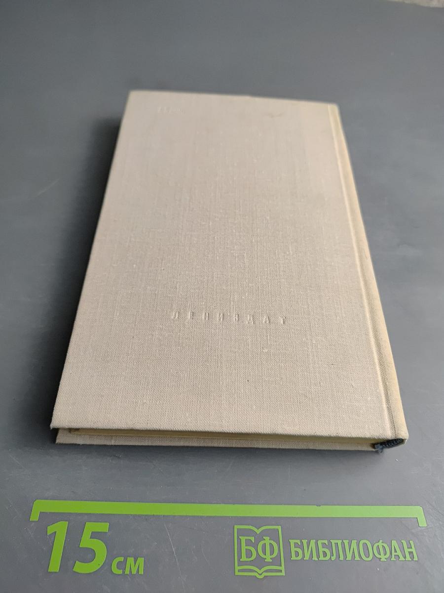 Город-фронт