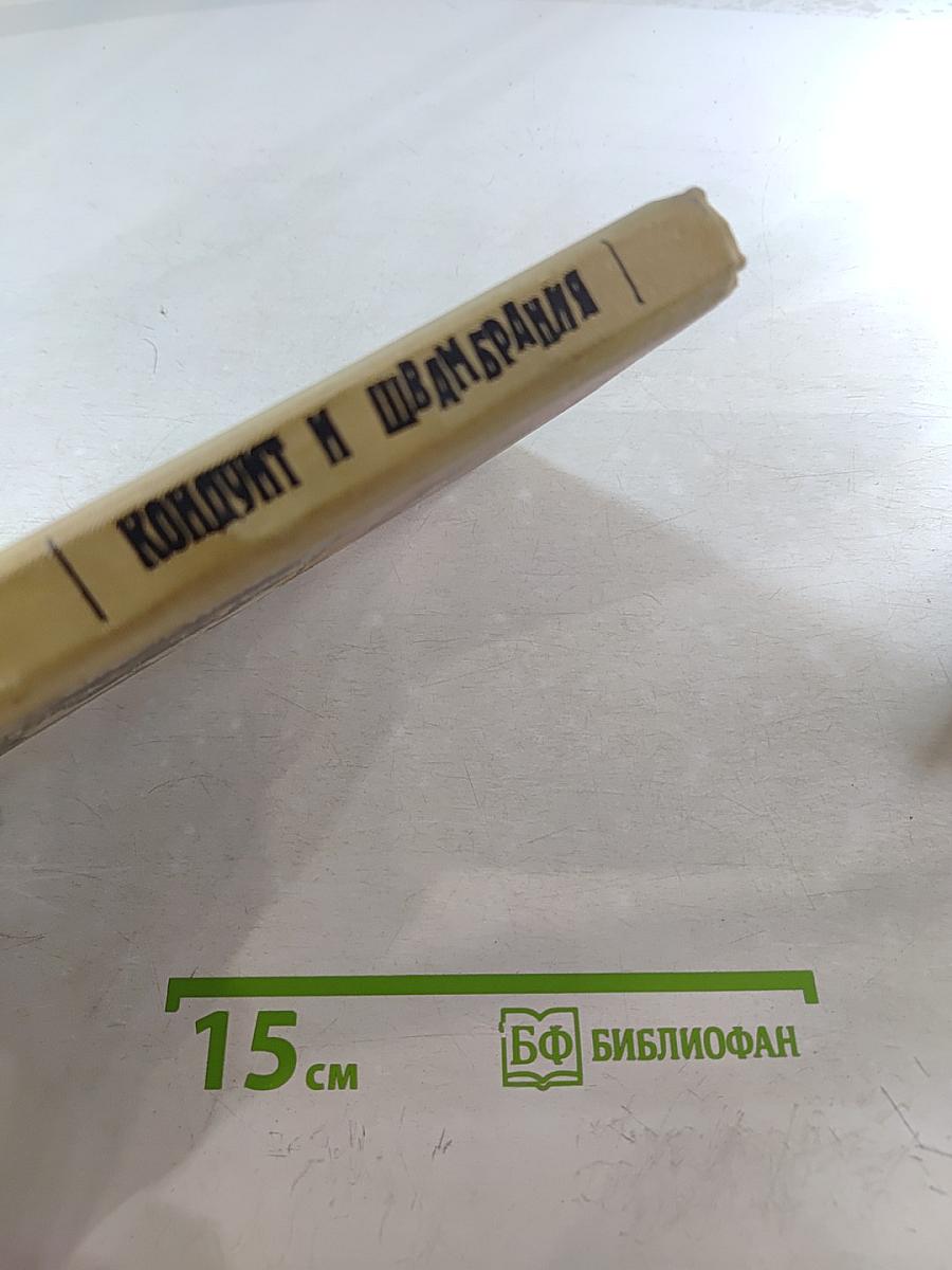 Кондуит и Швамбрания