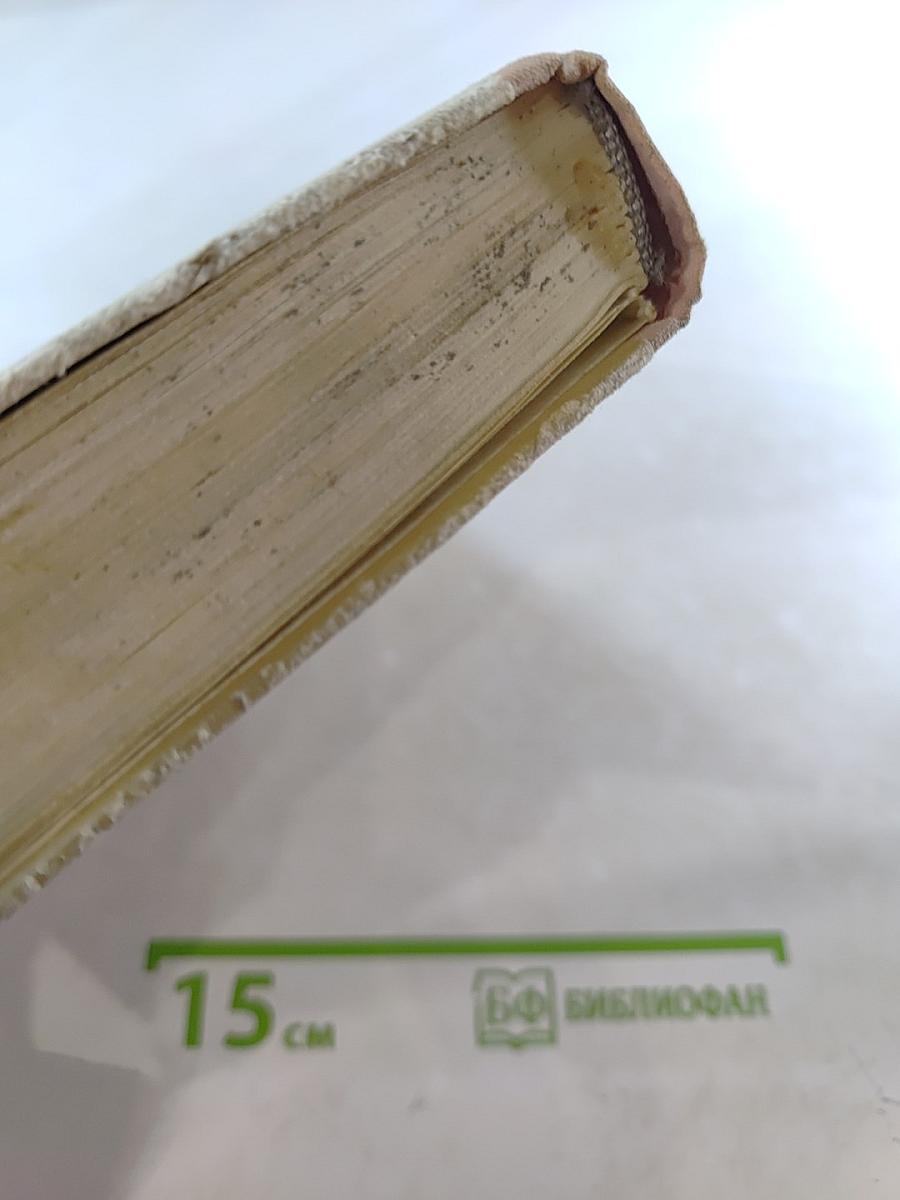 Михаил Тухачевский. Константин Заслонов. Повести