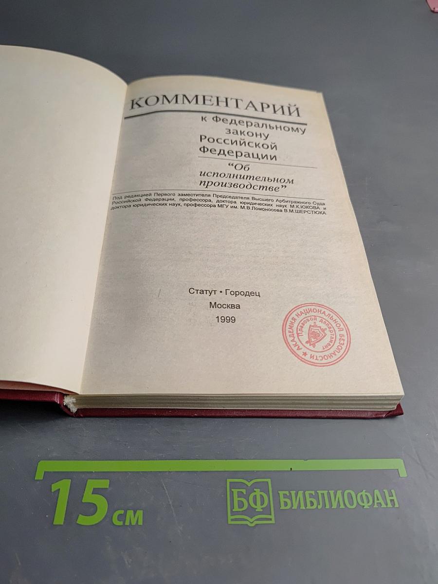 Комментарий к Федеральному Закону Российской Федерации "Об исполнительном производстве"