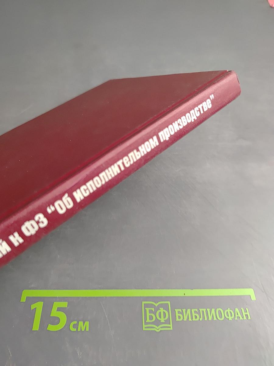 Комментарий к Федеральному Закону Российской Федерации "Об исполнительном производстве"