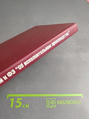 Комментарий к Федеральному Закону Российской Федерации "Об исполнительном производстве"