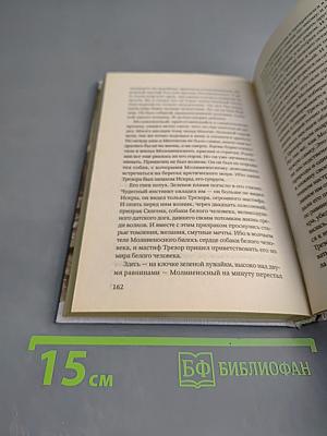 Молниеносный