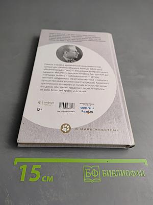 Молниеносный