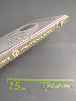 Молниеносный