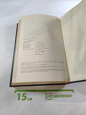 Колдуны, целители, пророки