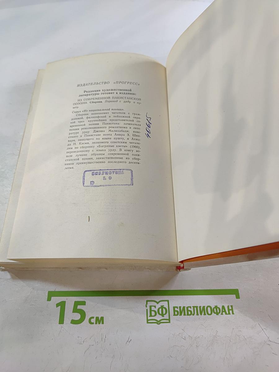 Праздник огней. Современная поэзия хинди