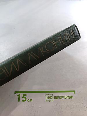Собрание сочинений. Том 2. Поэмы. Переводы