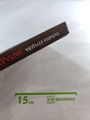 Русичи. Западня для князя