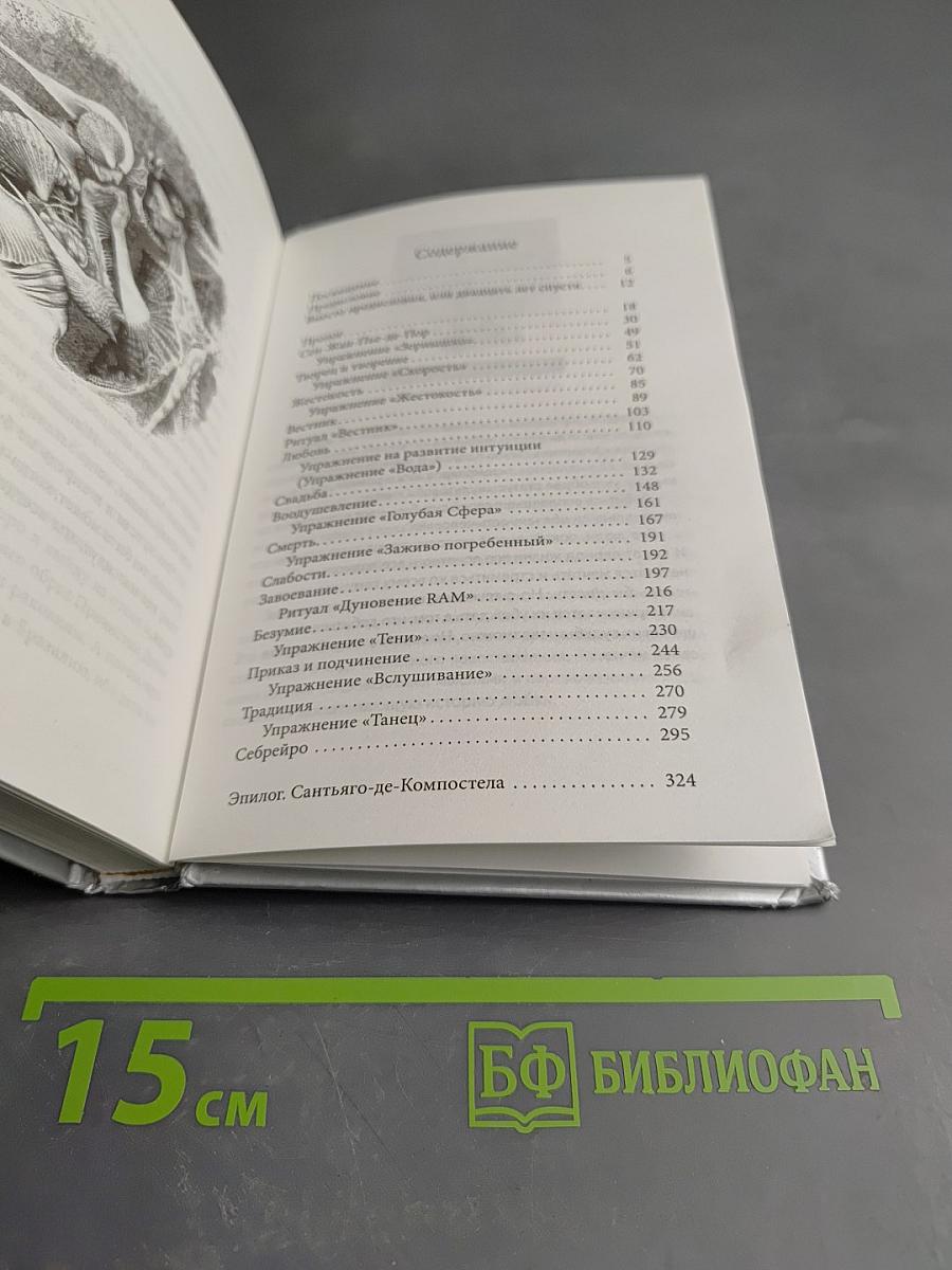 Дневник Мага