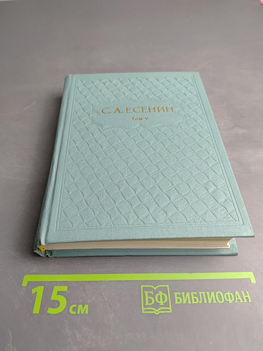 Собрание сочинений. Том V. Проза. Статьи и заметки. Автобиографии