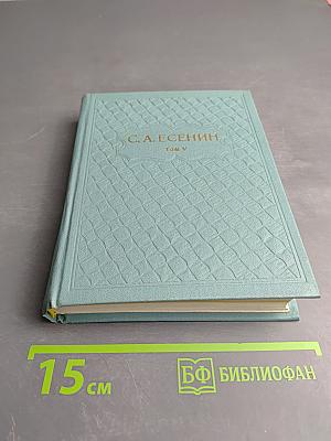 Собрание сочинений. Том V. Проза. Статьи и заметки. Автобиографии