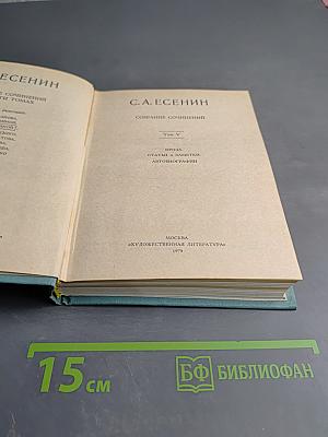 Собрание сочинений. Том V. Проза. Статьи и заметки. Автобиографии