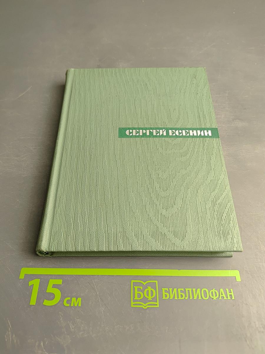 Собрание сочинений. Том четвертый. Проза. Статьи и заметки