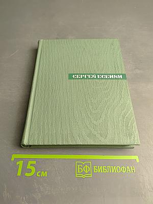 Собрание сочинений. Том четвертый. Проза. Статьи и заметки