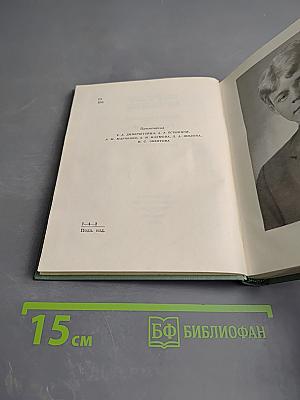 Собрание сочинений. Том четвертый. Проза. Статьи и заметки