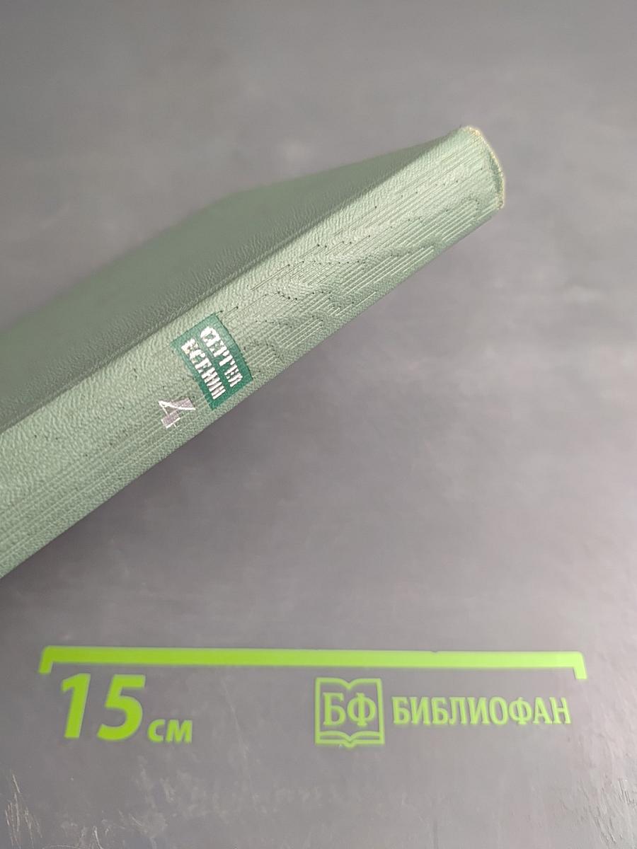 Собрание сочинений. Том четвертый. Проза. Статьи и заметки