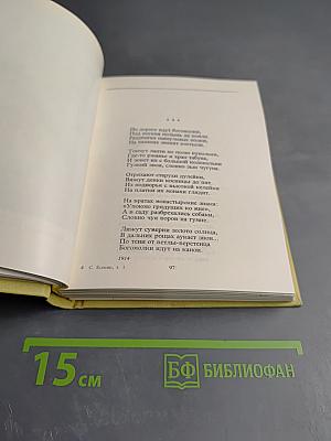 Собрание сочинений. Том 1. Стихотворения