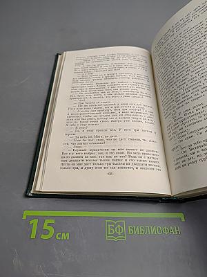 Братья Карамазовы. Роман в четырех частях с эпилогом. Части I и II