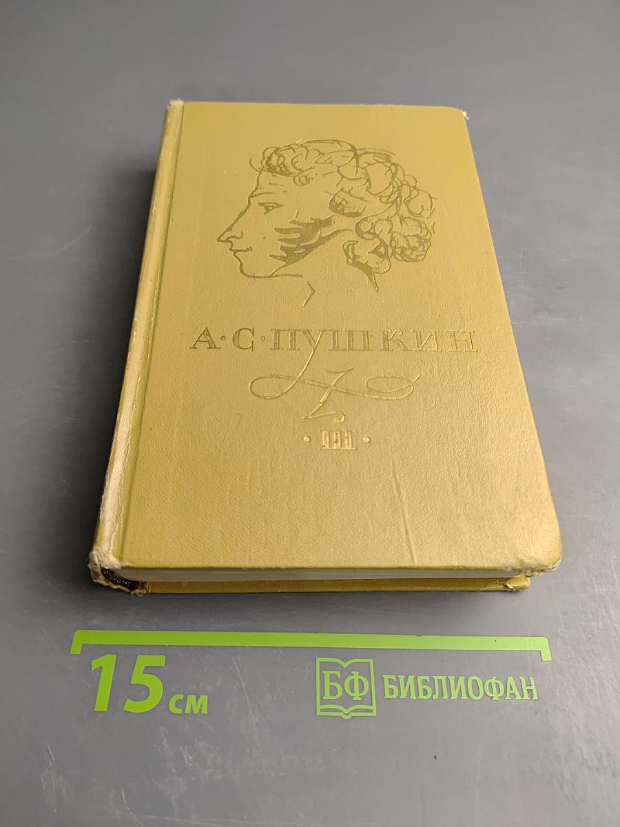 Евгений Онегин. Романы и повести. Путешествие в Арзрум. Том III