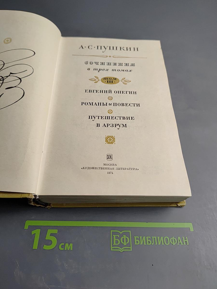 Евгений Онегин. Романы и повести. Путешествие в Арзрум. Том III