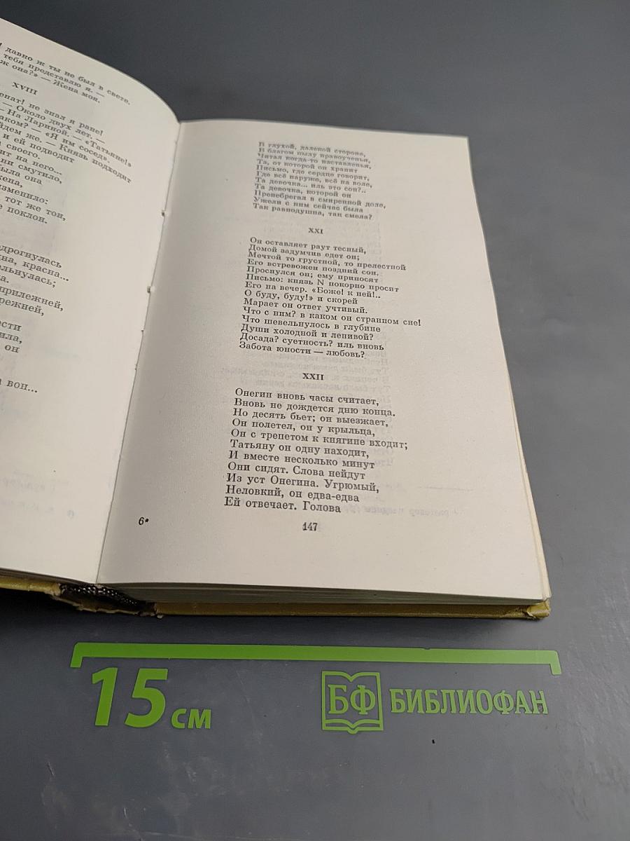 Евгений Онегин. Романы и повести. Путешествие в Арзрум. Том III