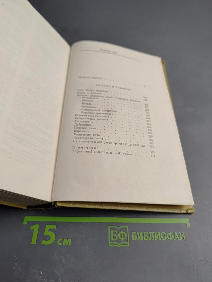 Евгений Онегин. Романы и повести. Путешествие в Арзрум. Том III