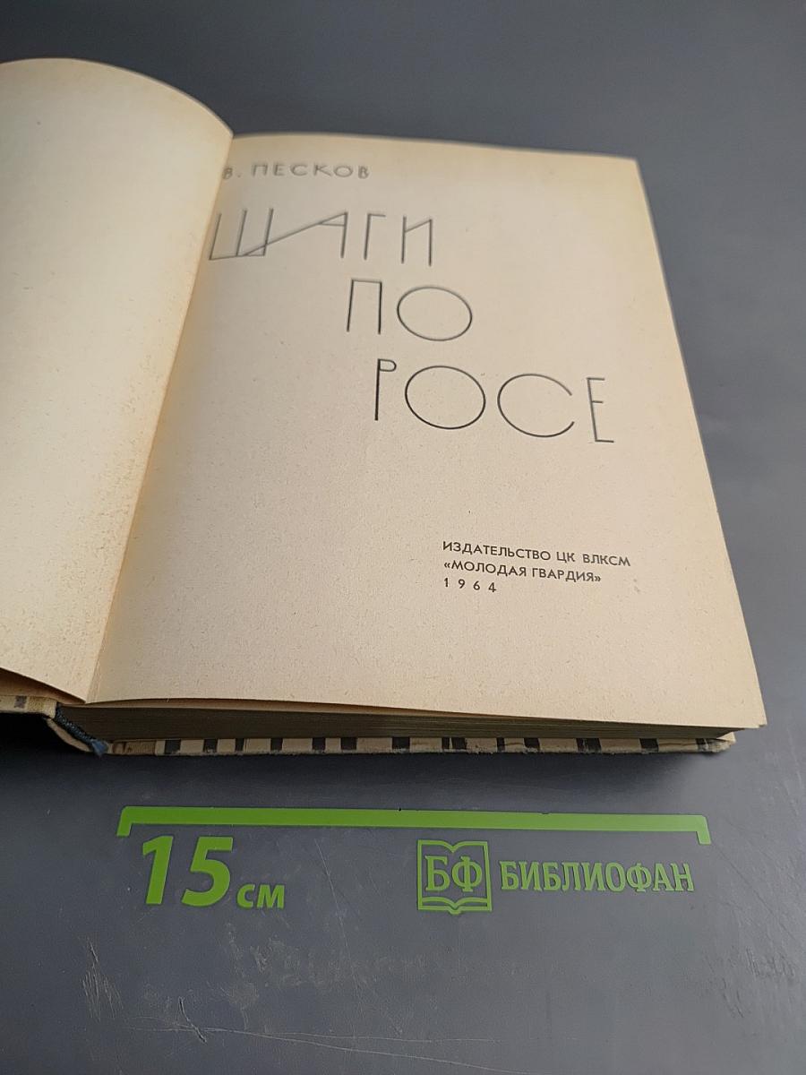 Шаги по росе