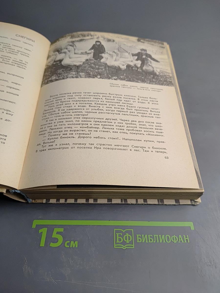 Шаги по росе