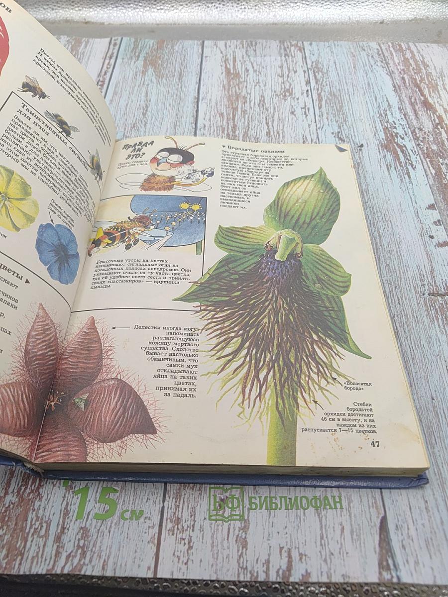 Тайны живой природы