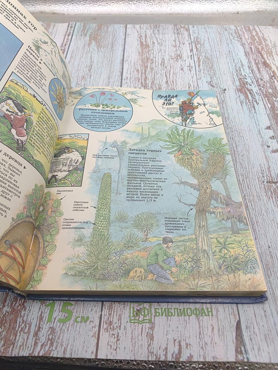 Тайны живой природы