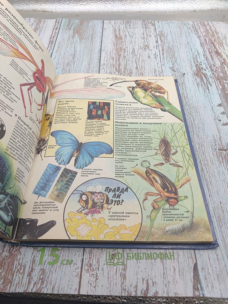 Тайны живой природы