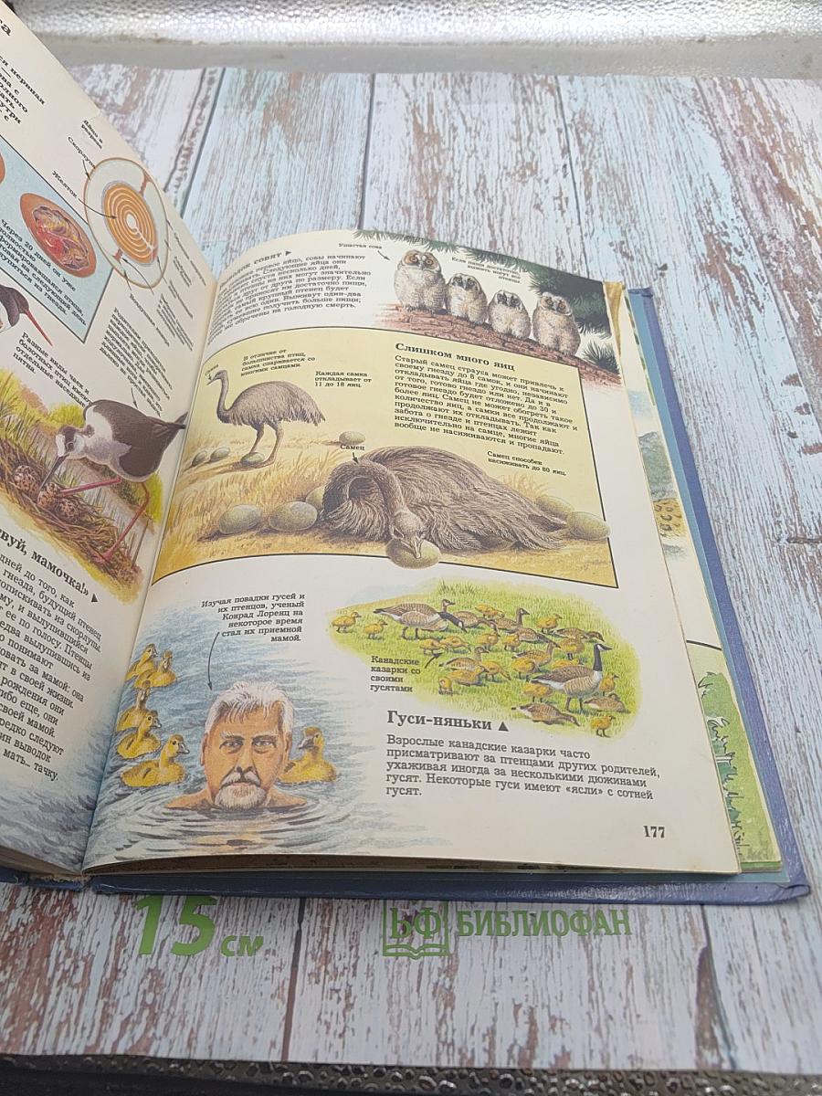 Тайны живой природы