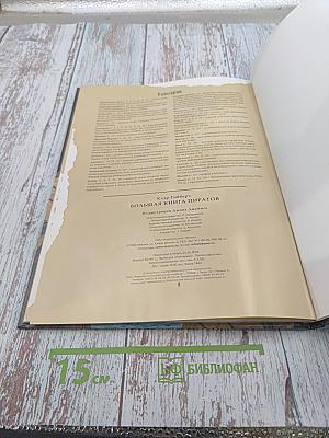 Большая книга пиратов