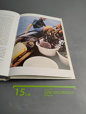 Мир кораллов