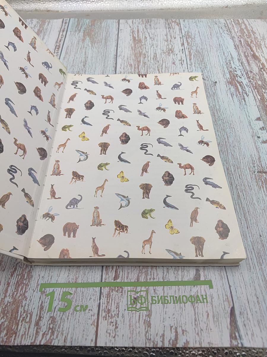 Секреты животного мира. Том 1: Хамелеон, Крот, Лягушка, Паук, Змея, Динозавр