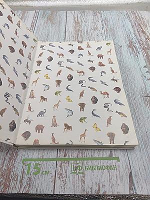 Секреты животного мира. Том 1: Хамелеон, Крот, Лягушка, Паук, Змея, Динозавр