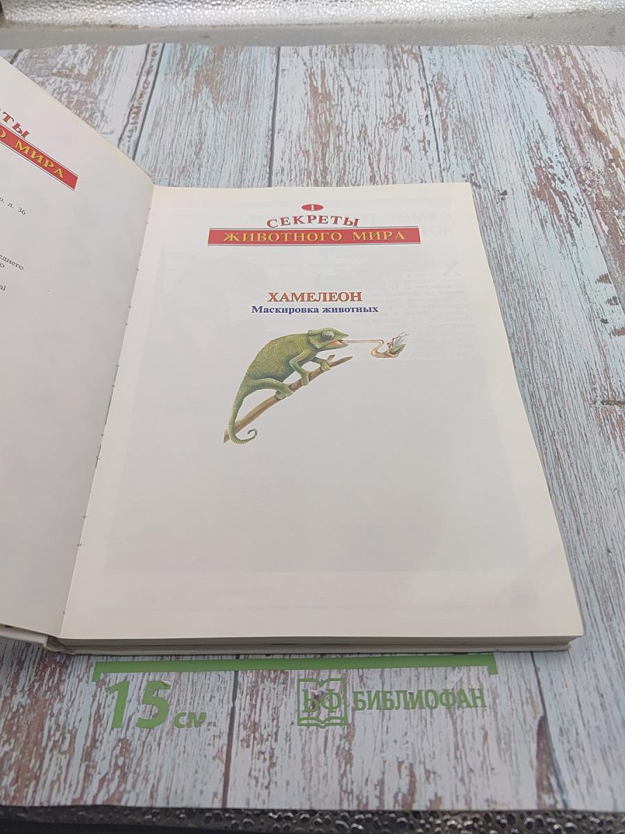 Секреты животного мира. Том 1: Хамелеон, Крот, Лягушка, Паук, Змея, Динозавр